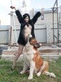 Click to view big image girl_dog_love_07.jpg